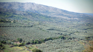 Manovra, 160 milioni per rifinanziamento credito d'imposta Agricoltura 4.0