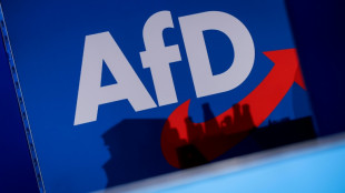 Rechtsextremistentreffen in Russland: AfD in Hamburg schlie&szlig;t Abgeordneten aus