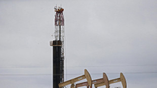 Il petrolio chiude in rialzo a New York a 62,39 dollari