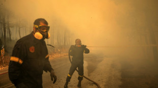 Grecia ante una situaci&oacute;n "extremadamente dif&iacute;cil" por incendios con fuertes vientos