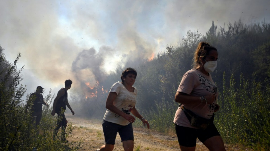 Spain and Portugal battle wildfires as death toll mounts