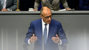 Germany's Merz accuses AfD of promoting 'ethnic cleansing'