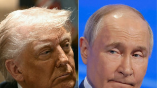 Kreml: Treffen zwischen Putin und Trump in "den kommenden Tagen" 