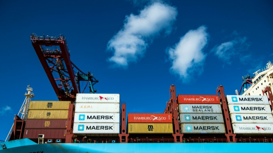 El gigante dan&eacute;s de transporte mar&iacute;timo Maersk suspende sus viajes a puertos rusos