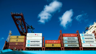 El gigante dan&eacute;s de transporte mar&iacute;timo Maersk suspende sus viajes a puertos rusos