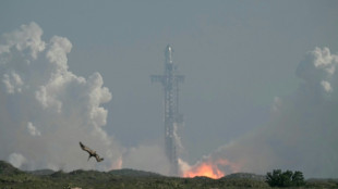 SpaceX carries out mostly successful Starship test flight