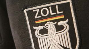 Vier Festnahmen bei Großrazzia gegen Schwarzarbeit auf Baustellen