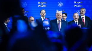 Trump a Nyp, 'avremo sovranit&agrave; sulle basi in Groenlandia'