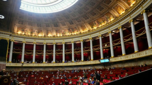 Assembl&eacute;e: le d&eacute;bat sur la p&eacute;tition contre la loi Duplomb report&eacute; &agrave; f&eacute;vrier