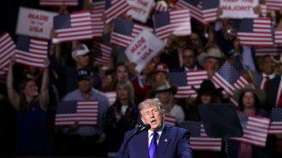 Trump pide votar por republicanos al Congreso o EEUU se "ir&aacute; al infierno"