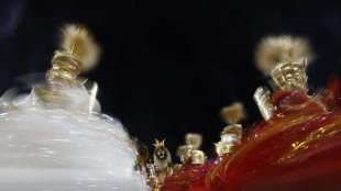 La scuola di samba Unidos do Viradouro vince il titolo al Carnevale di Rio