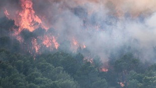 France's summer wildfires could cost insurers up to 563 mln euros