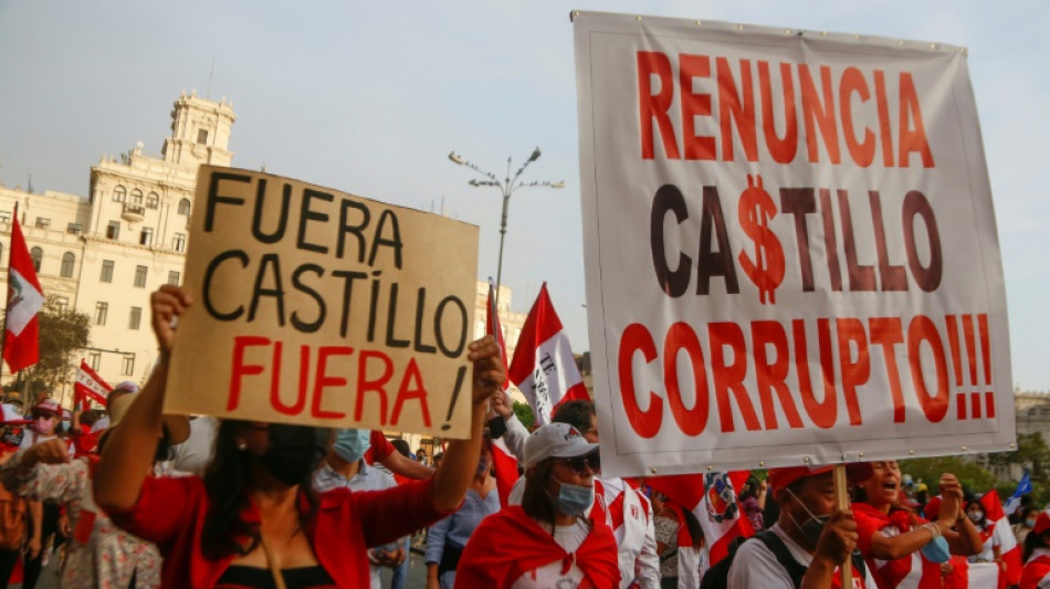 La tormenta pol&iacute;tica levanta nubarrones sobre la econom&iacute;a peruana