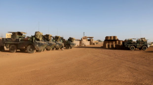 Macron r&eacute;unit mercredi un mini-sommet sur le Sahel et le Mali