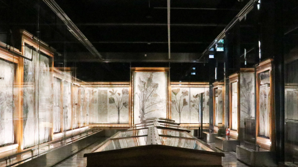 La 'Sala delle Palme' di Padova geo-collezione di rilevanza mondiale