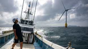 Japón instala turbinas flotantes de energía eólica en busca de más fuentes renovables