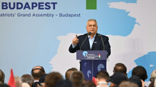 Viktor Orb&aacute;n, el modelo global de los antiliberales