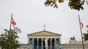 L'interdiction du voile à l'école pour les fillettes au menu des députés autrichiens