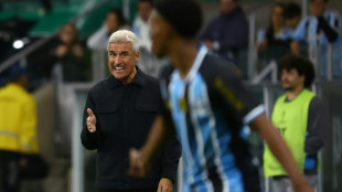 El DT portugu&eacute;s Lu&iacute;s Castro sale del Gremio de Brasil   