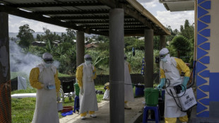 US warns Ebola outbreak on scale of largest 'is possible'