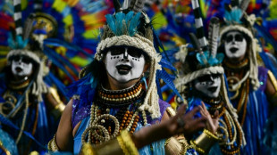 Un homenaje a Lula abre el Carnaval de Rio en medio de cr&iacute;ticas