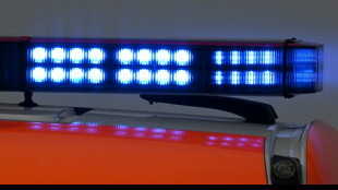 Unfall mit drei Pferdekutschen in Th&uuml;ringen: Sechs teils schwer Verletzte