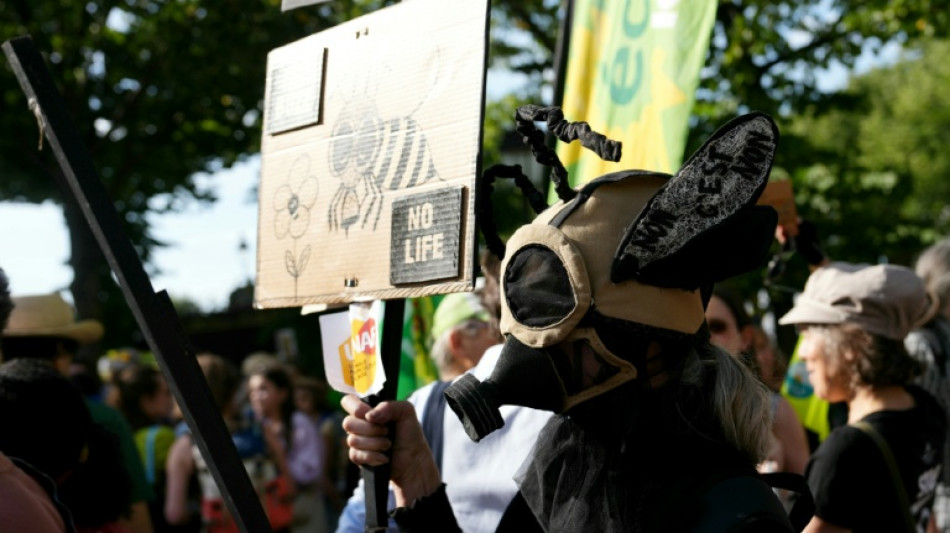 Fran&ccedil;a aprova lei que permite uso de pesticidas prejudiciais &agrave;s abelhas