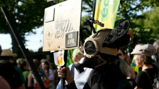 Fran&ccedil;a aprova lei que permite uso de pesticidas prejudiciais &agrave;s abelhas