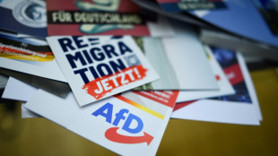 Grüne wollen AfD-Verbotsverfahren vorantreiben - mit Union, SPD und Linken