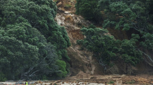 Nouvelle-Z&eacute;lande: fin des recherches de survivants apr&egrave;s un glissement de terrain