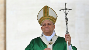 El papa León XIV celebra "avances significativos" hacia la paz en Gaza