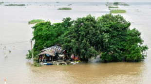 Inde: pr&egrave;s de cinq millions de personnes touch&eacute;es par des inondations au Bihar