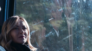 Meloni, sinistra avvelena i pozzi e strumentalizza Falcone