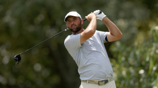 No.1 Scheffler leads by two at PGA St. Jude playoff event