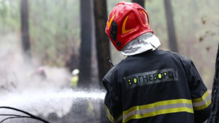 M&eacute;gafeu en Gironde: des pompiers ukrainiens interviennent, une premi&egrave;re