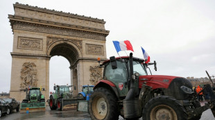 French farmers rage against EU-Mercosur trade deal