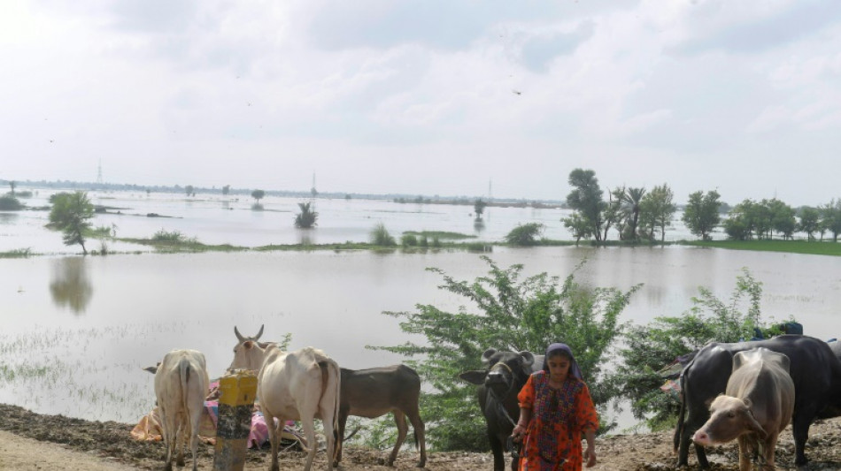 Au Pakistan, la canicule puis la mousson &eacute;branlent le monde rural