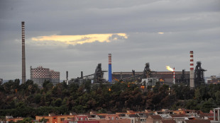 Mase, pubblicato decreto di rinnovo Aia per l'ex Ilva