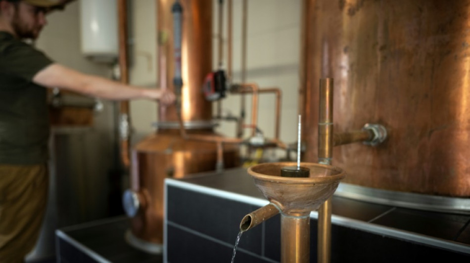 Twelve, un whisky made in France n&eacute; sur les hautes terres de l'Aubrac