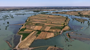 Dans l'est syrien, la crue de l'Euphrate emporte la r&eacute;colte d'agriculteurs
