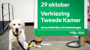 Dutch vote in snap election seen as test for Europe's far-right