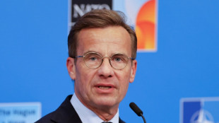 Su&eacute;cia exige que UE congele parte comercial de acordo de associa&ccedil;&atilde;o com Israel