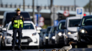 Priorit&eacute; aux palmip&egrave;des: Varsovie arr&ecirc;te la circulation pour le passage des harles