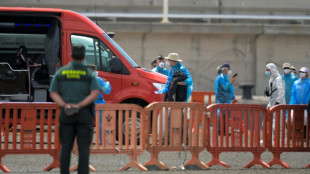 Hantavirus: Vier deutsche Kreuzfahrt-Passagiere am Sonntag in Niederlanden erwartet