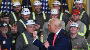 El consumo mundial de carb&oacute;n batir&aacute; un nuevo r&eacute;cord en 2025 (AIE)