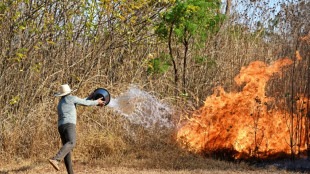 Vague d'incendies au Br&eacute;sil: les flammes touchent d&eacute;sormais le parc national de Brasilia
