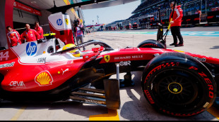 Cina: Hamilton "soddisfatto della macchina, ma ci manca potenza"