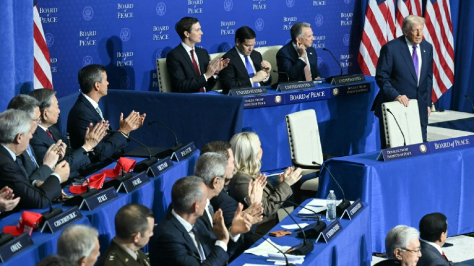 "Friedensrat"-Teilnehmer sagen Milliardensummen und Truppen f&uuml;r Gazastreifen zu