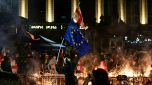 Regierungskritische Proteste nach Kommunalwahlen in Georgien - Verfahren gegen Anf&uuml;hrer