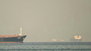 Ships in Gulf risk shortages on board, industry warns